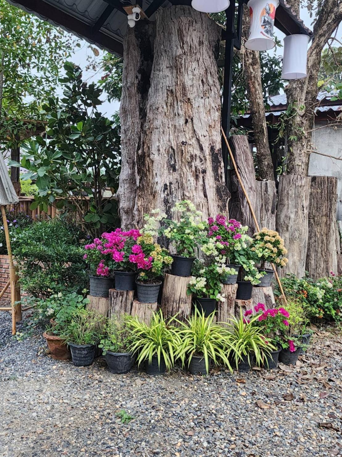 Suk Sabai Homestay Sukhothai Luaran gambar